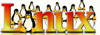 afbeelding van Linux pinguin's
